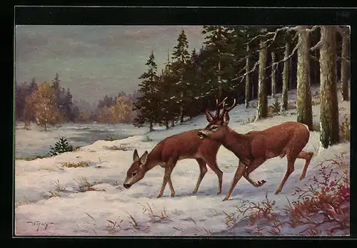 Ölgemälde-Imitations-AK Degi Nr. 1284: Äsende Rehe im Schnee, W. Hoy