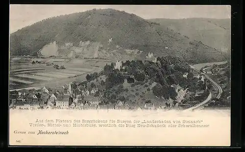AK Neckarsteinach, Ortsansicht mit Bergen