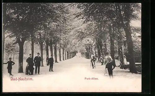 AK Bad Nauheim, Park-Allee mit Passanten