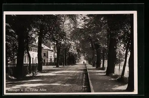 AK Dillingen a. D., Blick auf die Grosse Allee