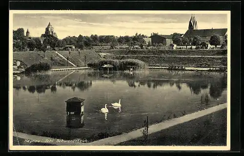 AK Haynau i. Schl., Blick auf den Schwanenteich