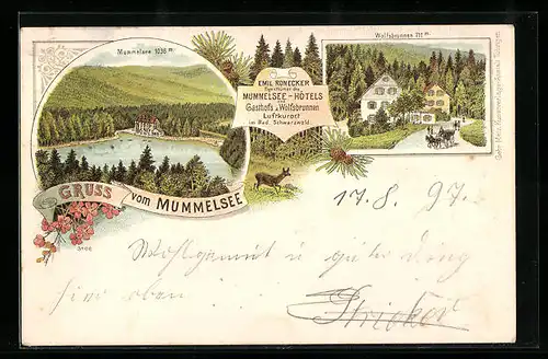 Lithographie Seebach, Gasthaus z. Wolfsbrunnen, Eig. Emil Ronecker, Mummelsee