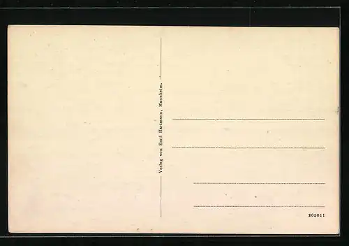 AK Landau, Hauptansicht von Süden aus