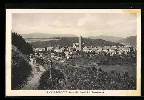 AK Schmallenberg /Sauerland, Ortsansicht mit Umland