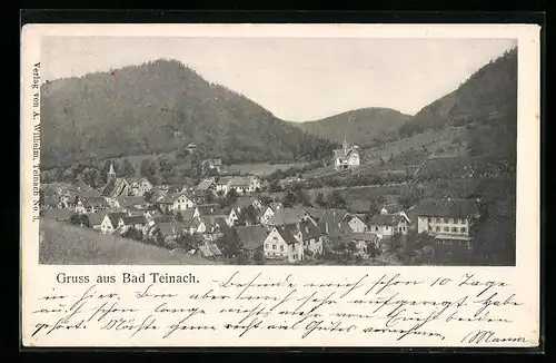 AK Bad Teinach, Ortsansicht mit Umgebung