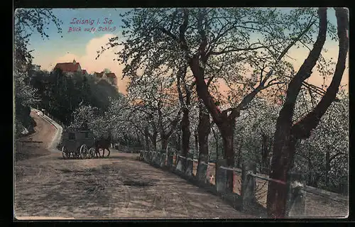 AK Leisnig i. Sa., Blick aufs Schloss