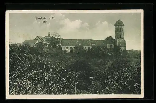 AK Sinsheim a. E., Blick auf das Stift