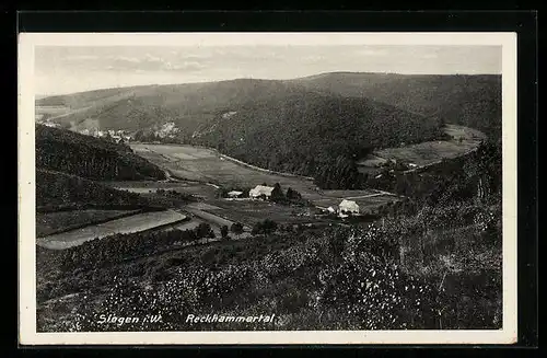 AK Siegen i. W., Blick auf das Reckhammertal
