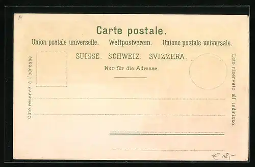 Lithographie Grindelwald, Gletscher u. Gletscherhöhle, Gesamtansicht