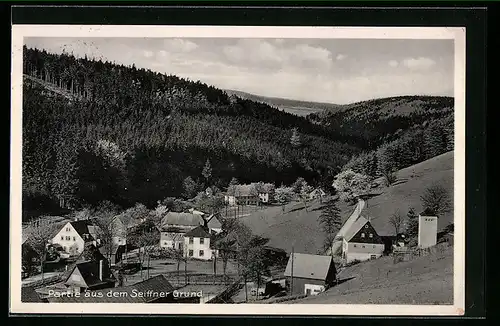 AK Seiffen, Seiffner Grund, Blick auf die Ortschaft im Tal