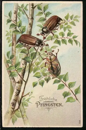 AK Drei Maikäfer auf einer Birke, Pfingstgruss