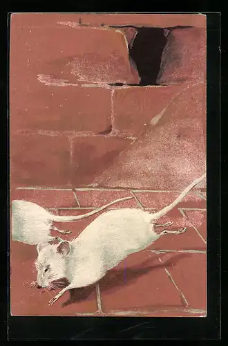 AK Zwei weisse Mäuse rennen von einem Mauerloch weg