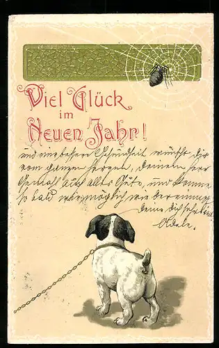 Lithographie Kleiner Hund vor Spinne im Netz, Neujahrsgruss