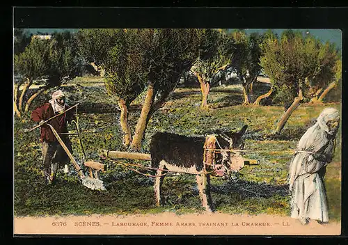 AK Femme Arabe trainant la Charrue, Arabische Frauen mit Eselgespann beim Pflügen