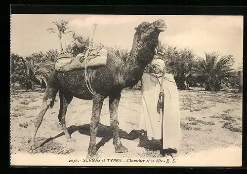 AK Beduine und Kamel mit vorgestrecktem Hals