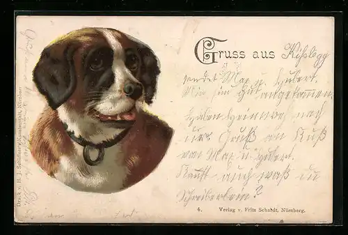 Lithographie Kopfportrait eines Bernhardiners