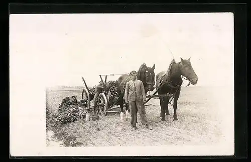 Foto-AK Landarbeiter mit Pferdewagen auf einem Feld