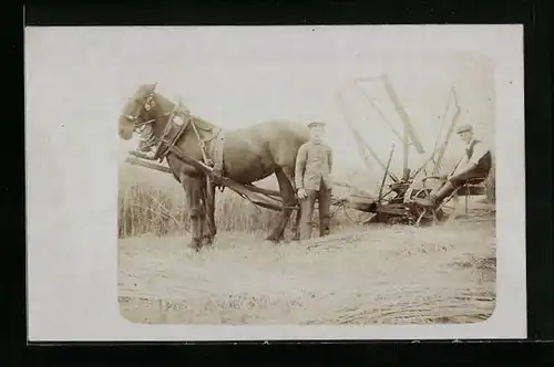 Foto-AK Junge Männer bei der Getreideernte