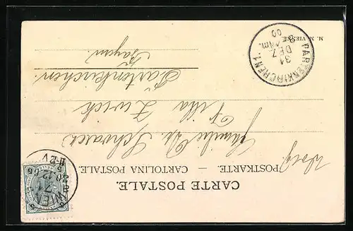 AK Junge Dame füttert Muttersau mit Glücksklee, Neujahrsgruss