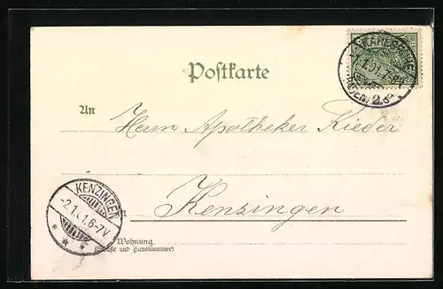 Lithographie Vergnügte Schweine und Glückssymbole, Neujahrsgruss