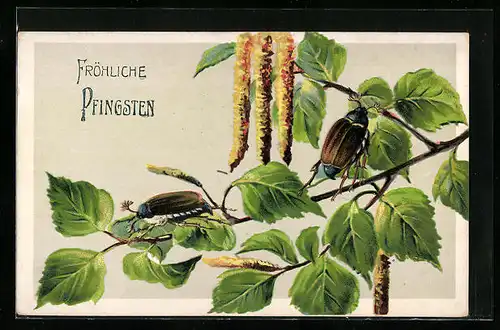 Präge-AK Zwei Maikäfer auf Birkenzweig mit Troddeln, Pfingstgruss