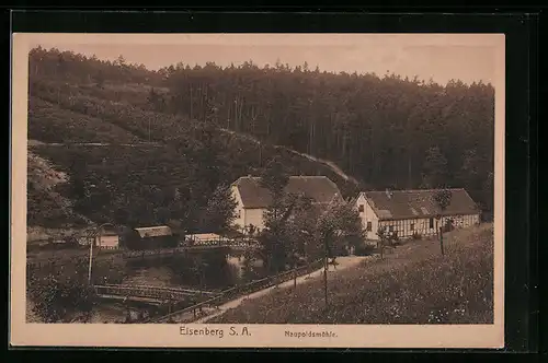 AK Eisenberg /S.-A., Naupoldsmühle