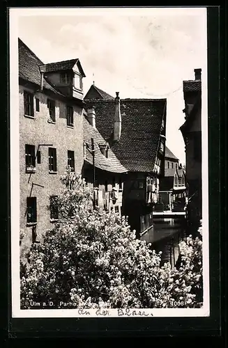 AK Ulm a. D., Partie an der Blau