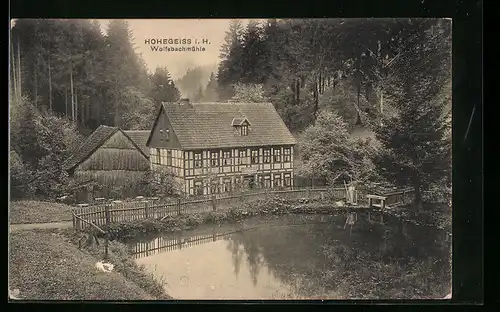 AK Hohegeiss i. H., Hotel Wolfsbachmühle