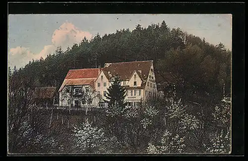 AK Artelshofen bei Vorra a. P., Kurhotel J. Schöll aus der Vogelschau