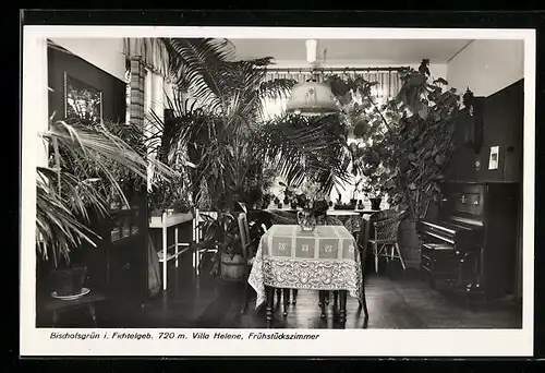 AK Bischofsgrün /Fichtelgeb., Villa Helene, Frühstückszimmer mit Palmen und Klavier