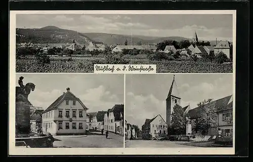 AK Mussbach /Weinstr., Ortspartie mit Denkmal und Kirche, Ortspanorama
