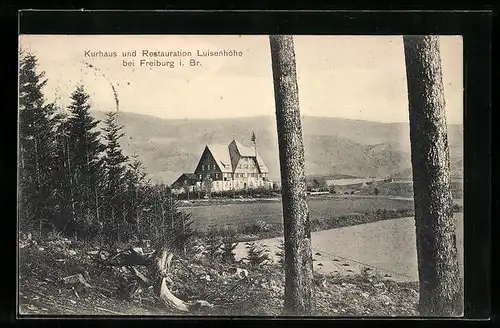 AK Freiburg i. Br., Blick zum Hotel Luisenhöhe