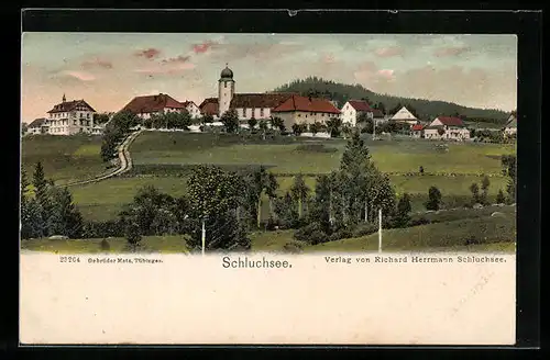 AK Schluchsee, Panorama des Ortes