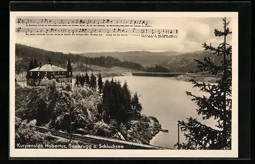 AK Seebrugg /Schluchsee, Kurpension Hubertus aus der Vogelschau