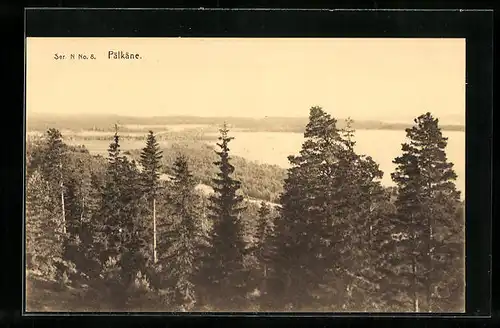 AK Pälkäne, Waldpartie aus der Vogelschau