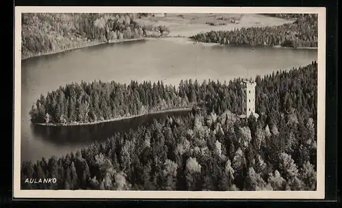 AK Aulanko, Waldpartie mit Turm aus der Vogelschau
