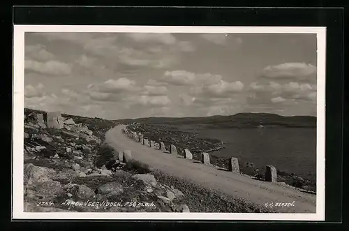 AK Hardangervidden, Landstrasse mit Blick ins Land