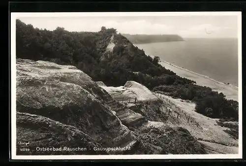 AK Rauschen, Ostseebad, Gausupschlucht