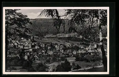 AK Bad Liebenzell, Ortsansicht aus der Vogelschau