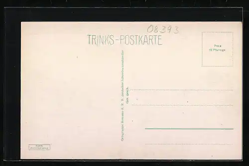 AK Meerane i. Sa., Ortsansicht aus der Vogelschau