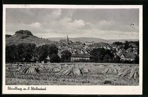 AK Weinsberg, Ortsansicht mit der Weibertreu
