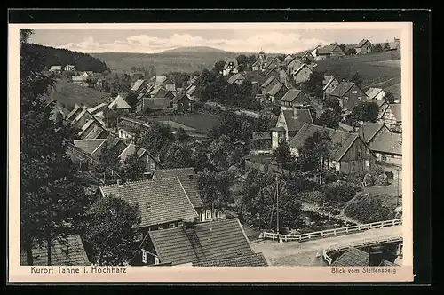 AK Tanne i. Hochharz, Ortsansicht von oben