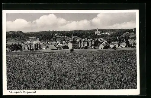 AK Scheinfeld / Steigerwald, Blick zum Ort