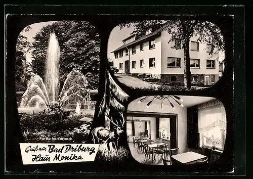 AK Bad Driburg, Haus Monika mit Partie am Kurpark