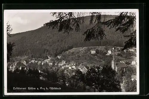 AK Höfen b. Wildbad, Ortsansicht aus der Ferne