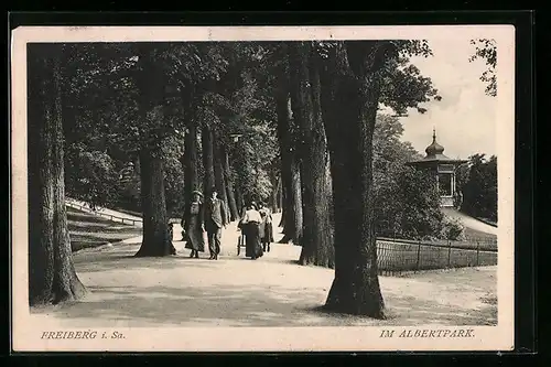 AK Freiberg i. Sa., Weg im Albertpark