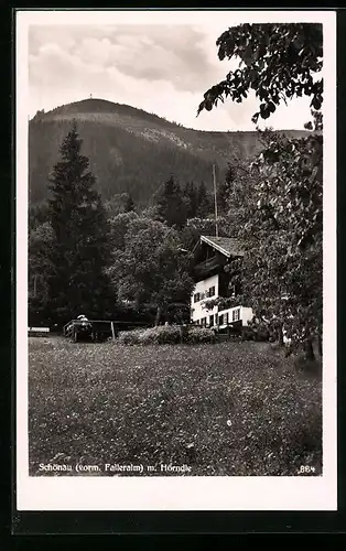 AK Schönau, Blick auf Gasthof Faller-Alm