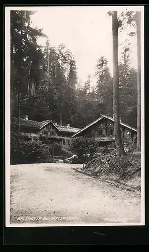 AK Dittersbach, Blick auf die Balzhütte