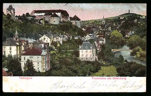 Relief-AK Tübingen, Panorama mit Österberg