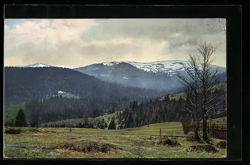 Künstler-AK Photochromie Nr. 2974: Seebuck und Feldberg im Schwarzwald